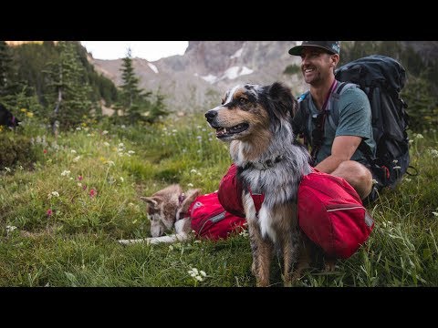 Ruffwear Bivy Collapsible Travel Dog Bowl Video