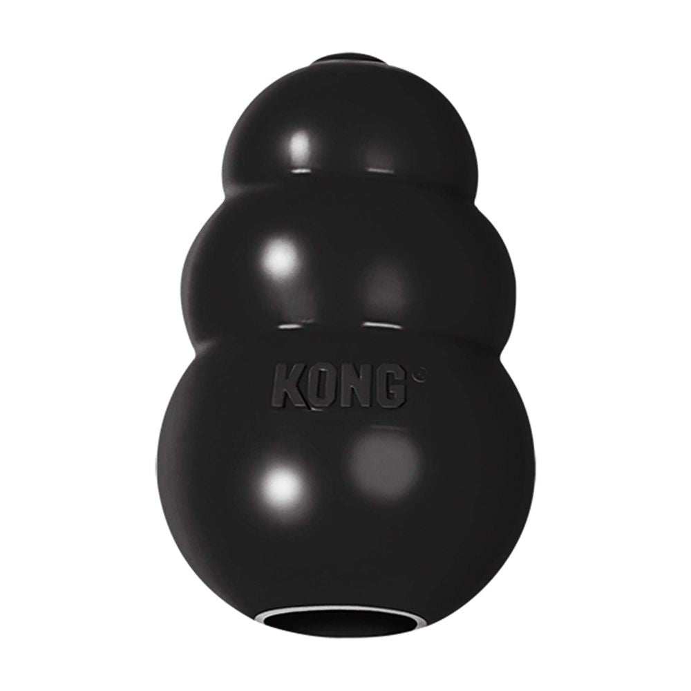 Kong dog hot sale toys website