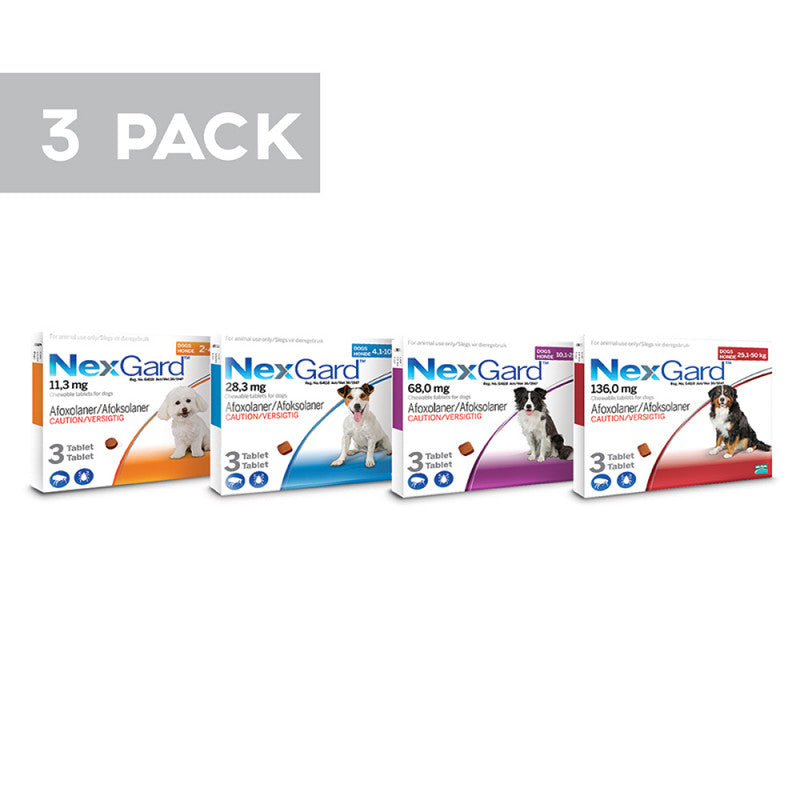 Nexgard for Dogs- 3 pack