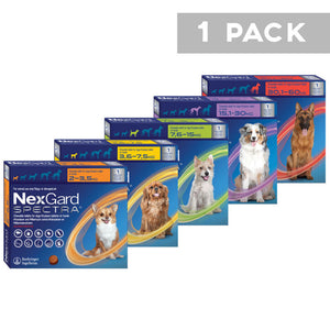 NexGard Spectra for Dogs- Single pack