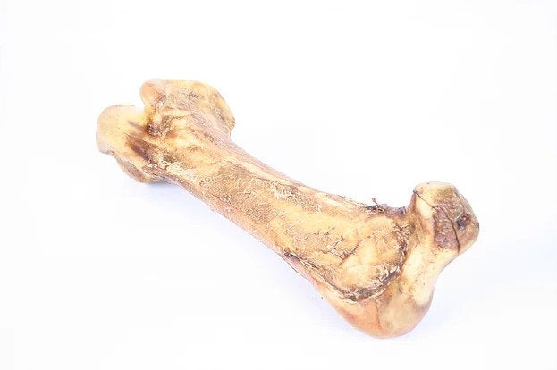 Ostrich Bone