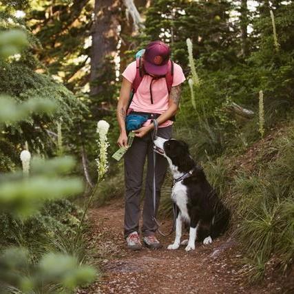 Ruffwear Pack Out Bag - product detail image South Africa pets