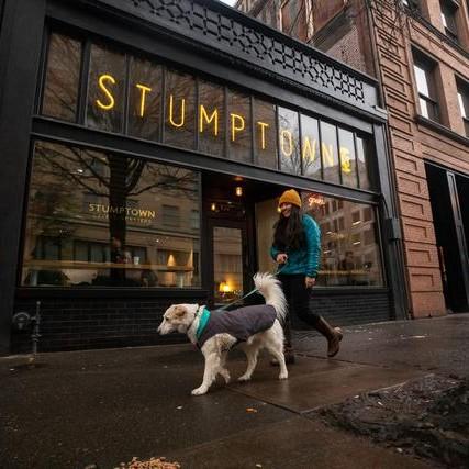 Ruffwear Stumptown Quilted Dog Coat - product detail image find in South Africa