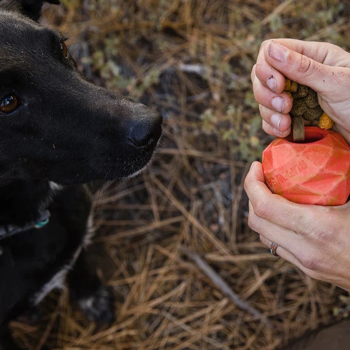 Ruffwear Gnawt-a-Rock