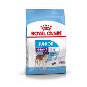Royal Canin Giant Junior Dog