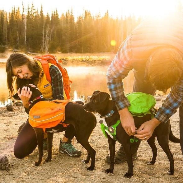 Ruffwear Approach Day Pack