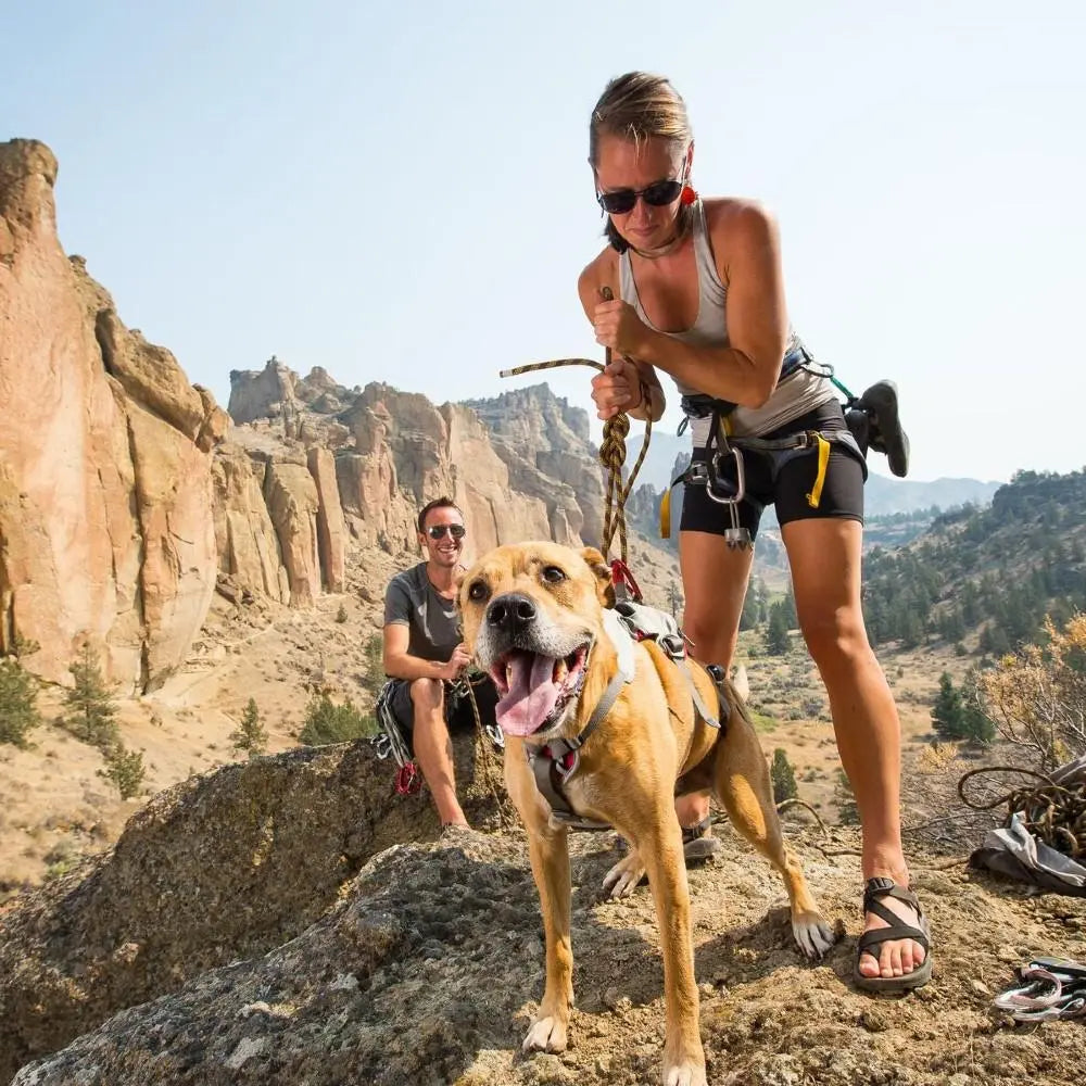 Ruffwear Doubleback Strength-Rated Safety Harness Ruffwear