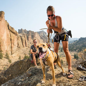 Ruffwear Doubleback Strength-Rated Safety Harness