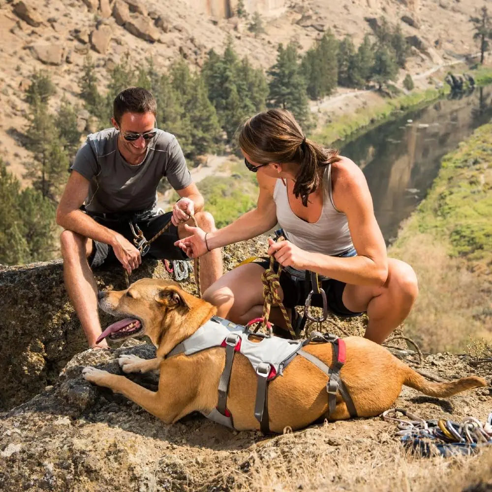 Ruffwear Doubleback Strength-Rated Safety Harness Ruffwear