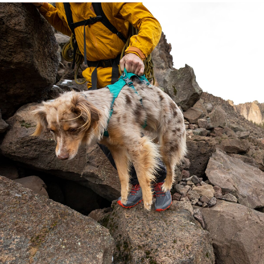 Ruffwear Flagline Harness