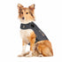 Thundershirt for Dogs