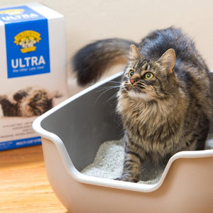 Dr Elsey's Ultra Cat Litter