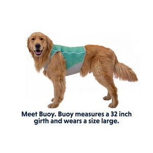 Ruffwear Swamp Cooler Zip Cooling Dog Vest