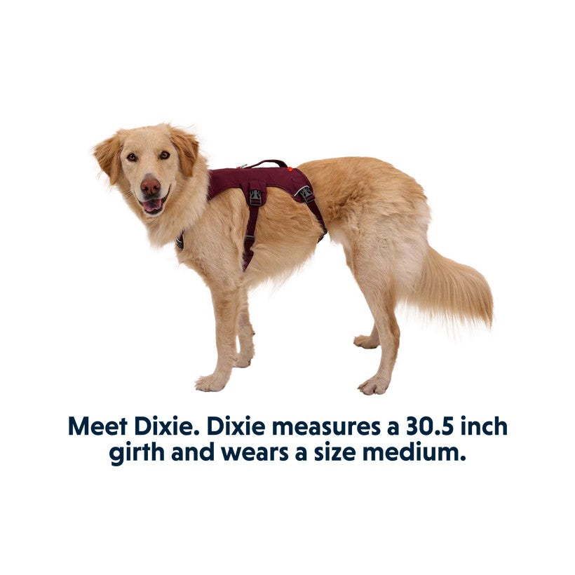 Ruffwear Webmaster Multi-Use Harness - product detail image order online South Africa