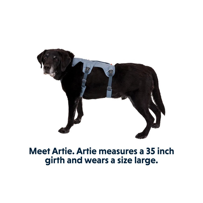 Ruffwear Webmaster Multi-Use Harness - product detail image nationwide South Africa