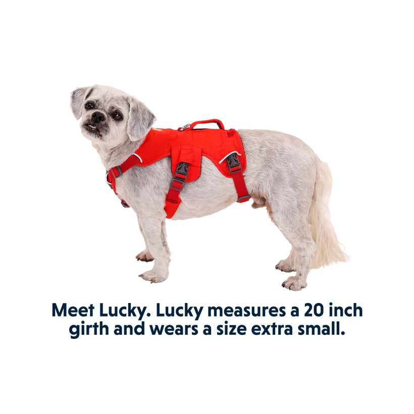 Ruffwear Webmaster Multi-Use Harness - product detail image South Africa retail